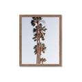 Picture of Palm Trees IV _GroupedProduct_Rectangle_Portrait_Photography _GroupedProduct_Rectangle_Portrait_Framed_Matted_