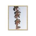 Picture of Palm Trees IV _GroupedProduct_Rectangle_Portrait_Photography _GroupedProduct_Rectangle_Portrait_Framed_Matted_