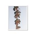 Picture of Palm Trees IV _GroupedProduct_Rectangle_Portrait_Photography _GroupedProduct_Rectangle_Portrait_Framed_Matted_