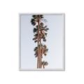 Picture of Palm Trees IV _GroupedProduct_Rectangle_Portrait_Photography _GroupedProduct_Rectangle_Portrait_Framed_Matted_