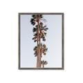 Picture of Palm Trees IV _GroupedProduct_Rectangle_Portrait_Photography _GroupedProduct_Rectangle_Portrait_Framed_Matted_