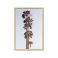 Picture of Palm Trees IV _GroupedProduct_Rectangle_Portrait_Photography _GroupedProduct_Rectangle_Portrait_Framed_Matted_