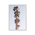 Picture of Palm Trees IV _GroupedProduct_Rectangle_Portrait_Photography _GroupedProduct_Rectangle_Portrait_Framed_Matted_