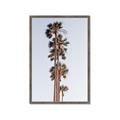 Picture of Palm Trees IV _GroupedProduct_Rectangle_Portrait_Photography _GroupedProduct_Rectangle_Portrait_Framed_Matted_