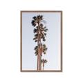 Picture of Palm Trees IV _GroupedProduct_Rectangle_Portrait_Photography _GroupedProduct_Rectangle_Portrait_Framed_Matted_