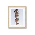 Picture of Palm Trees IV _GroupedProduct_Rectangle_Portrait_Photography _GroupedProduct_Rectangle_Portrait_Framed_Matted_