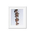 Picture of Palm Trees IV _GroupedProduct_Rectangle_Portrait_Photography _GroupedProduct_Rectangle_Portrait_Framed_Matted_