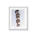 Picture of Palm Trees IV _GroupedProduct_Rectangle_Portrait_Photography _GroupedProduct_Rectangle_Portrait_Framed_Matted_