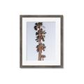Picture of Palm Trees IV _GroupedProduct_Rectangle_Portrait_Photography _GroupedProduct_Rectangle_Portrait_Framed_Matted_