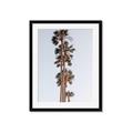 Picture of Palm Trees IV _GroupedProduct_Rectangle_Portrait_Photography _GroupedProduct_Rectangle_Portrait_Framed_Matted_