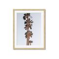 Picture of Palm Trees IV _GroupedProduct_Rectangle_Portrait_Photography _GroupedProduct_Rectangle_Portrait_Framed_Matted_