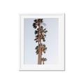 Picture of Palm Trees IV _GroupedProduct_Rectangle_Portrait_Photography _GroupedProduct_Rectangle_Portrait_Framed_Matted_