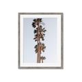 Picture of Palm Trees IV _GroupedProduct_Rectangle_Portrait_Photography _GroupedProduct_Rectangle_Portrait_Framed_Matted_