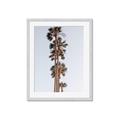 Picture of Palm Trees IV _GroupedProduct_Rectangle_Portrait_Photography _GroupedProduct_Rectangle_Portrait_Framed_Matted_