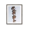 Picture of Palm Trees IV _GroupedProduct_Rectangle_Portrait_Photography _GroupedProduct_Rectangle_Portrait_Framed_Matted_