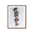 Picture of Palm Trees IV _GroupedProduct_Rectangle_Portrait_Photography _GroupedProduct_Rectangle_Portrait_Framed_Matted_