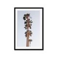 Picture of Palm Trees IV _GroupedProduct_Rectangle_Portrait_Photography _GroupedProduct_Rectangle_Portrait_Framed_Matted_