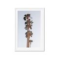 Picture of Palm Trees IV _GroupedProduct_Rectangle_Portrait_Photography _GroupedProduct_Rectangle_Portrait_Framed_Matted_