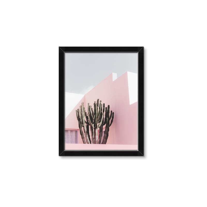 Picture of Pink Cactus II _GroupedProduct_Rectangle_Portrait_Photography _GroupedProduct_Rectangle_Portrait_Framed_Matted_