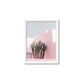 Picture of Pink Cactus II _GroupedProduct_Rectangle_Portrait_Photography _GroupedProduct_Rectangle_Portrait_Framed_Matted_