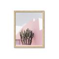 Picture of Pink Cactus II _GroupedProduct_Rectangle_Portrait_Photography _GroupedProduct_Rectangle_Portrait_Framed_Matted_