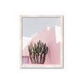 Picture of Pink Cactus II _GroupedProduct_Rectangle_Portrait_Photography _GroupedProduct_Rectangle_Portrait_Framed_Matted_