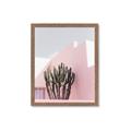 Picture of Pink Cactus II _GroupedProduct_Rectangle_Portrait_Photography _GroupedProduct_Rectangle_Portrait_Framed_Matted_