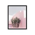Picture of Pink Cactus II _GroupedProduct_Rectangle_Portrait_Photography _GroupedProduct_Rectangle_Portrait_Framed_Matted_