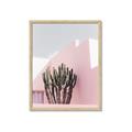 Picture of Pink Cactus II _GroupedProduct_Rectangle_Portrait_Photography _GroupedProduct_Rectangle_Portrait_Framed_Matted_