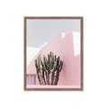 Picture of Pink Cactus II _GroupedProduct_Rectangle_Portrait_Photography _GroupedProduct_Rectangle_Portrait_Framed_Matted_