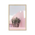 Picture of Pink Cactus II _GroupedProduct_Rectangle_Portrait_Photography _GroupedProduct_Rectangle_Portrait_Framed_Matted_
