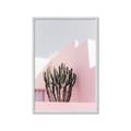 Picture of Pink Cactus II _GroupedProduct_Rectangle_Portrait_Photography _GroupedProduct_Rectangle_Portrait_Framed_Matted_