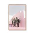 Picture of Pink Cactus II _GroupedProduct_Rectangle_Portrait_Photography _GroupedProduct_Rectangle_Portrait_Framed_Matted_
