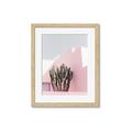 Picture of Pink Cactus II _GroupedProduct_Rectangle_Portrait_Photography _GroupedProduct_Rectangle_Portrait_Framed_Matted_
