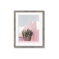 Picture of Pink Cactus II _GroupedProduct_Rectangle_Portrait_Photography _GroupedProduct_Rectangle_Portrait_Framed_Matted_