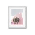 Picture of Pink Cactus II _GroupedProduct_Rectangle_Portrait_Photography _GroupedProduct_Rectangle_Portrait_Framed_Matted_