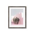 Picture of Pink Cactus II _GroupedProduct_Rectangle_Portrait_Photography _GroupedProduct_Rectangle_Portrait_Framed_Matted_