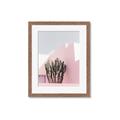 Picture of Pink Cactus II _GroupedProduct_Rectangle_Portrait_Photography _GroupedProduct_Rectangle_Portrait_Framed_Matted_