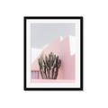 Picture of Pink Cactus II _GroupedProduct_Rectangle_Portrait_Photography _GroupedProduct_Rectangle_Portrait_Framed_Matted_