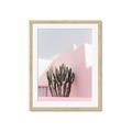 Picture of Pink Cactus II _GroupedProduct_Rectangle_Portrait_Photography _GroupedProduct_Rectangle_Portrait_Framed_Matted_