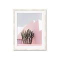Picture of Pink Cactus II _GroupedProduct_Rectangle_Portrait_Photography _GroupedProduct_Rectangle_Portrait_Framed_Matted_