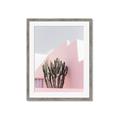 Picture of Pink Cactus II _GroupedProduct_Rectangle_Portrait_Photography _GroupedProduct_Rectangle_Portrait_Framed_Matted_