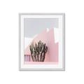 Picture of Pink Cactus II _GroupedProduct_Rectangle_Portrait_Photography _GroupedProduct_Rectangle_Portrait_Framed_Matted_