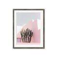 Picture of Pink Cactus II _GroupedProduct_Rectangle_Portrait_Photography _GroupedProduct_Rectangle_Portrait_Framed_Matted_