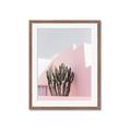 Picture of Pink Cactus II _GroupedProduct_Rectangle_Portrait_Photography _GroupedProduct_Rectangle_Portrait_Framed_Matted_