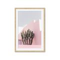 Picture of Pink Cactus II _GroupedProduct_Rectangle_Portrait_Photography _GroupedProduct_Rectangle_Portrait_Framed_Matted_