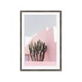 Picture of Pink Cactus II _GroupedProduct_Rectangle_Portrait_Photography _GroupedProduct_Rectangle_Portrait_Framed_Matted_