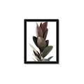 Picture of Plant Life _GroupedProduct_Rectangle_Portrait_Photography _GroupedProduct_Rectangle_Portrait_Framed_Matted_