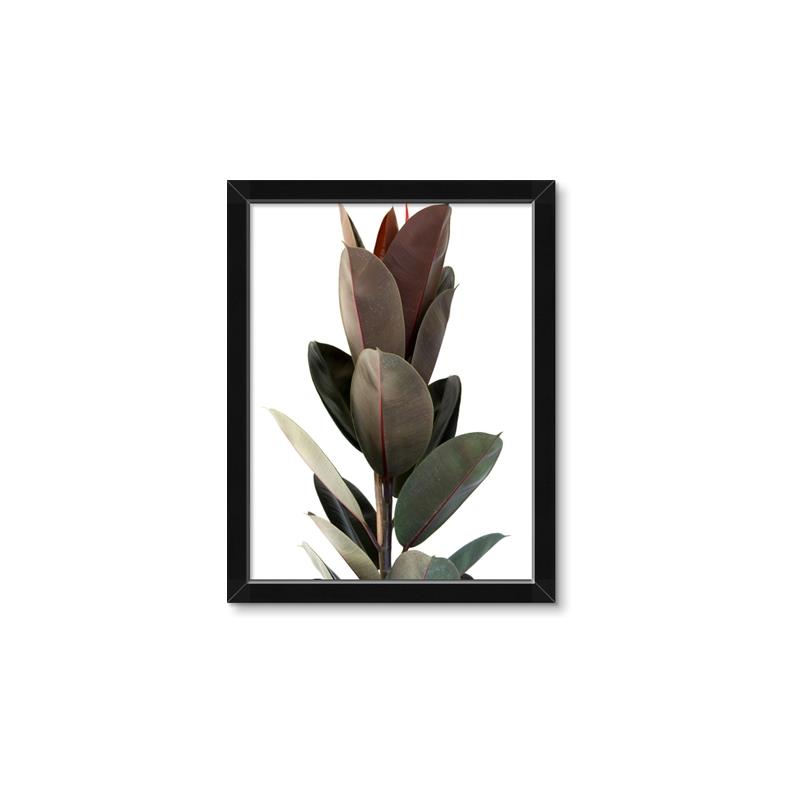 Picture of Plant Life _GroupedProduct_Rectangle_Portrait_Photography _GroupedProduct_Rectangle_Portrait_Framed_Matted_