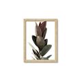 Picture of Plant Life _GroupedProduct_Rectangle_Portrait_Photography _GroupedProduct_Rectangle_Portrait_Framed_Matted_